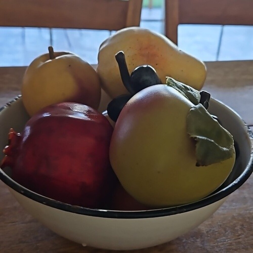 Vintage Plastic Fruit in White and Blk Enamel Bowel